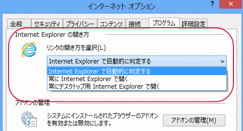 Interet Explorer̊J